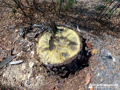 Jarosa - Agua y Bosque Plateado; excursiones semana santa;senderismo viajes;viajes culturales desde 